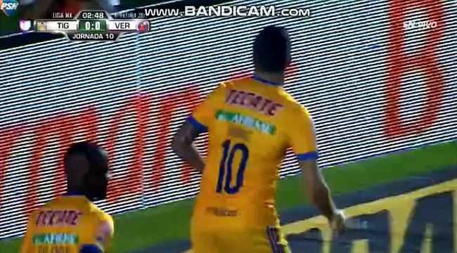 Andre-Pierre Gignac Goal ~ UANL Tigres vs Veracruz 1-0