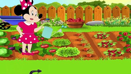 Mickey Mouse Cluhouse Full Episodes - Minniee Mouse Cartoon, Spiderman, Goofy & Chip n Dale!!