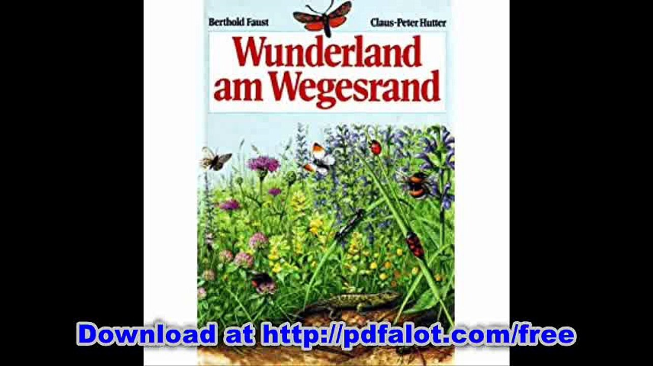 Wunderland am Wegesrand