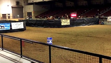 Famous N Dixie aka Rosie at LGPC 2015-bGobRvB-Uuw