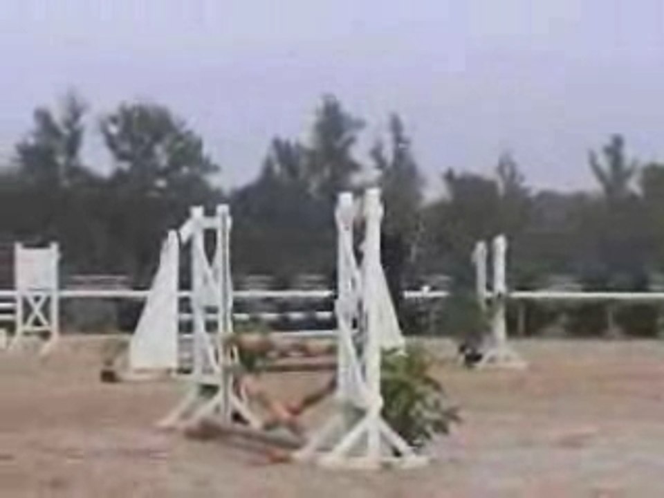 Inset première D3P Lorane