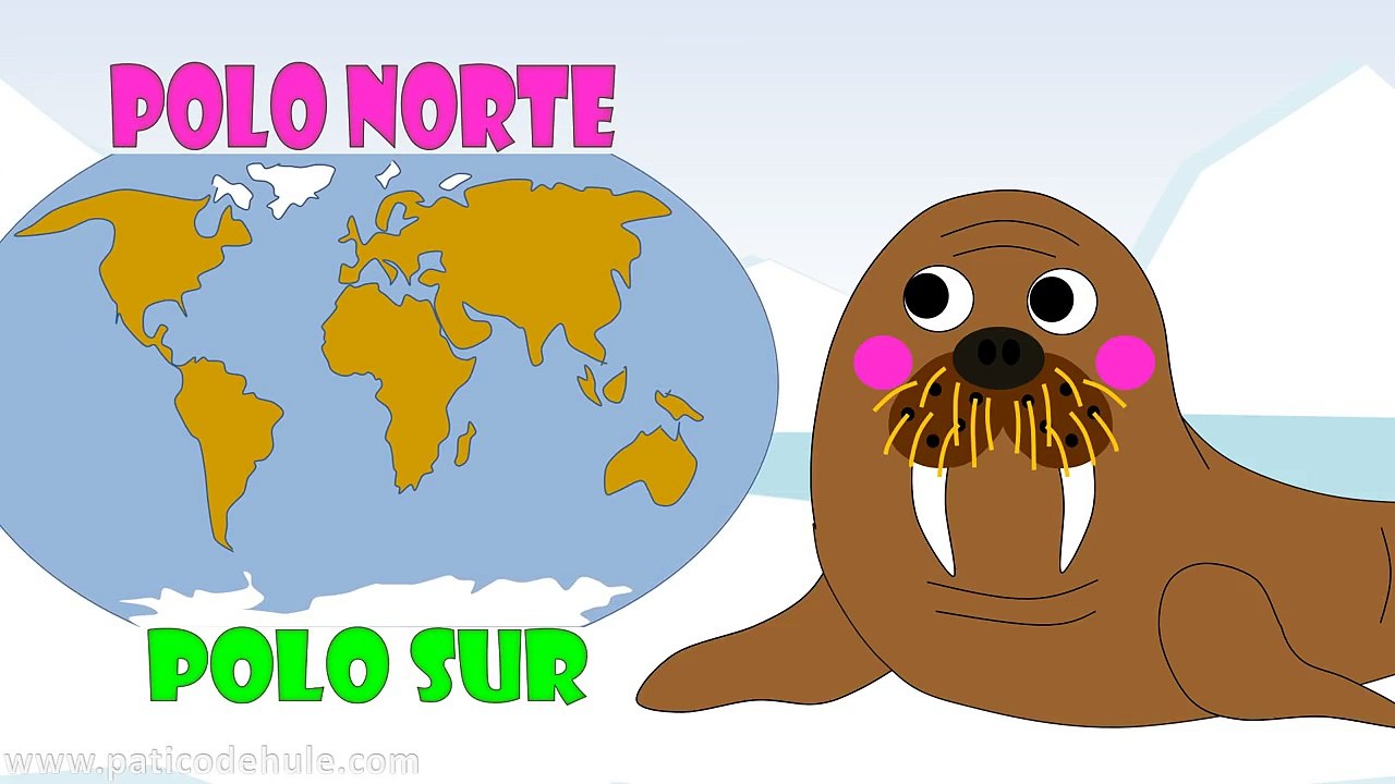 Animales Polares para niños - Animales del Hielo para niños - Animales del Frío para niños