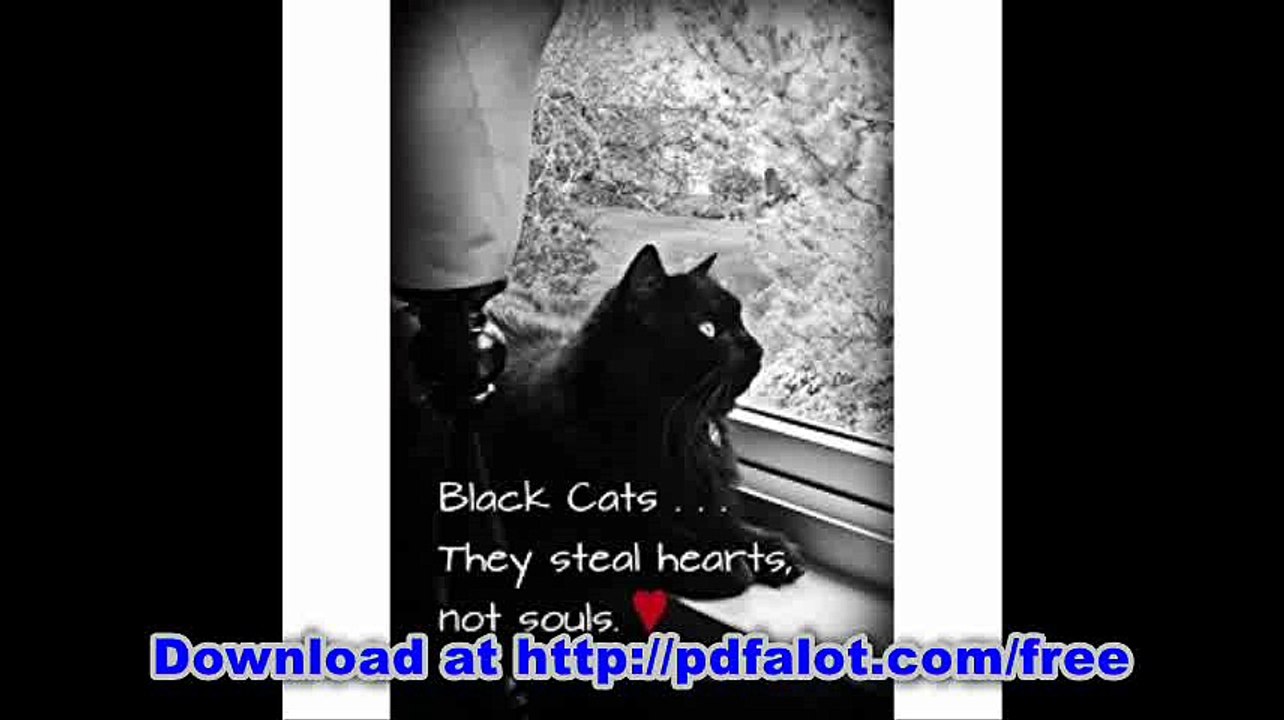 Black Cats - A Journal