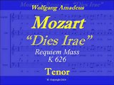 Mozart-Requiem-Tenor-Dies Irae.wmv