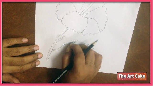 Hibiscus Flower Drawing - How to Draw Hibiscus Flower - Easy Flower Drawing for Children