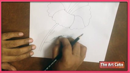 Hibiscus Flower Drawing - How to Draw Hibiscus Flower - Easy Flower Drawing for Children