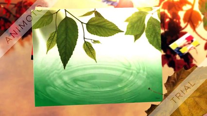 Home Office Organization