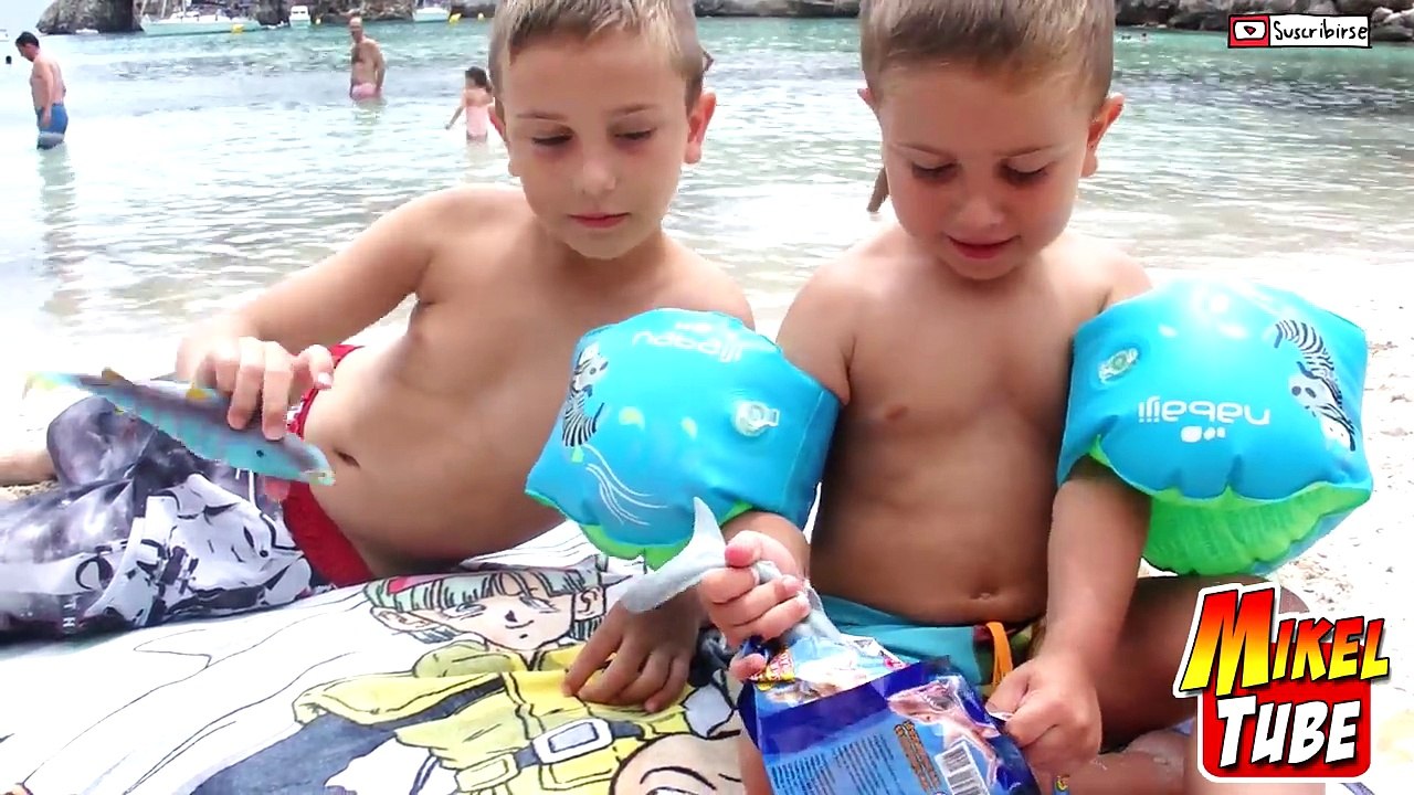 Tiburones en Menorca , Shark & Co. en cala Macarella