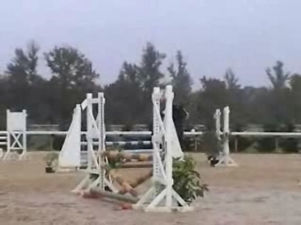 InsetD3PLoraneOctobre2007