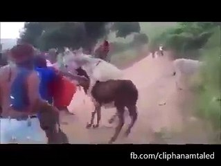 süper komik olaylar