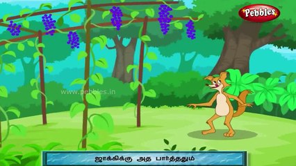 Grandma Stories in Tamil | | Stories for Kids | Animation | Kids | Kindergarten
