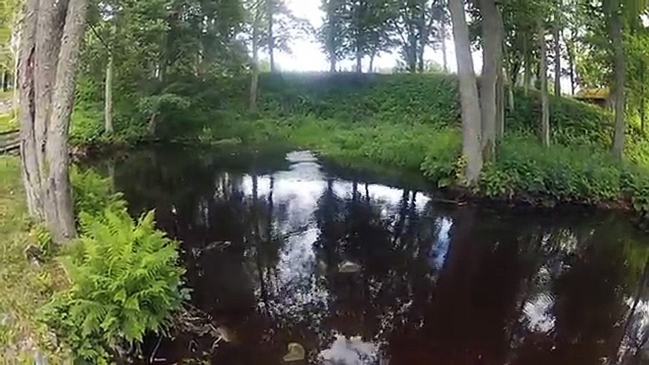 Popper och Buzzer Fiske! Topwater Popper fishing! Sweden!