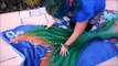 Finfolk Productions Full Silicone Mermaid Tail Unboxing Perth Mermaids