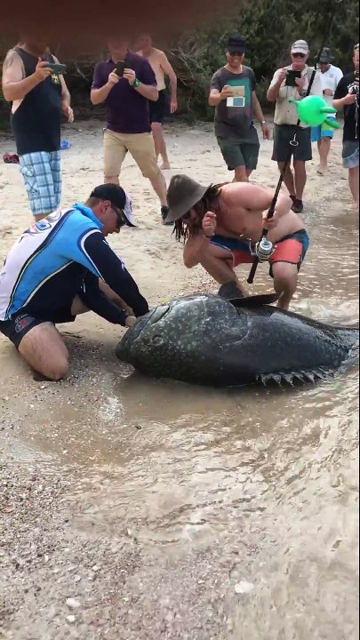 Il peche un énorme mérou géant... Quel poisson!!!!