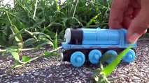 Wooden Thomas the Tank Engine Thomas play outside, Gordon, Duck, Rosie, Henry, Conner