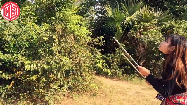 Incredible Brave Girl Catch Snake in Jungle - Amazing Brave Girl Vs Big Snake