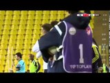 Fenerbahçe 3 - Mersin İdman Yurdu 0 (Gol: Hasan Ali Kaldırım)