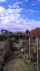 Chemtrails Angers - 13 octobre 2017 - 14h50