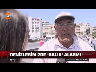 Denizlerimizde 'balık' alarmı - 31.07.2015 - atv