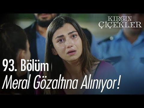 Meral gözaltına alınıyor - Kırgın Çiçekler 93. Bölüm