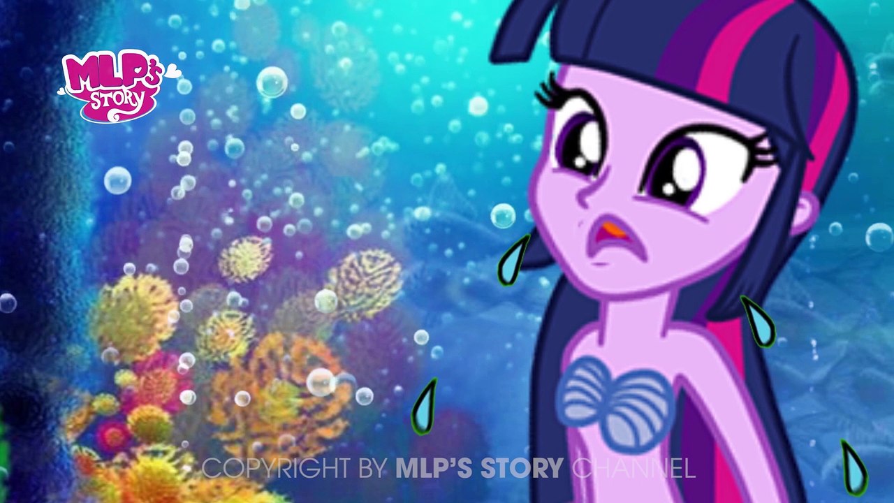My Little Pony MLP Equestria Girls Transforms with Animation Love Wedding Story
