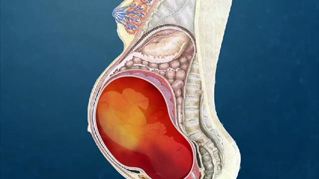 C - Section | Steps in a Cesarean Section | Hindi | सीजेरियन delivery कैसा होता है
