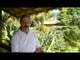 Ayahuasca retreats in Brazil - Would you like to come back for another retreat-