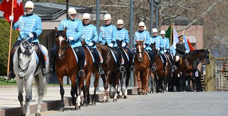 TSK'ya Süvari Atı ve Topçu Beygiri Alınacak