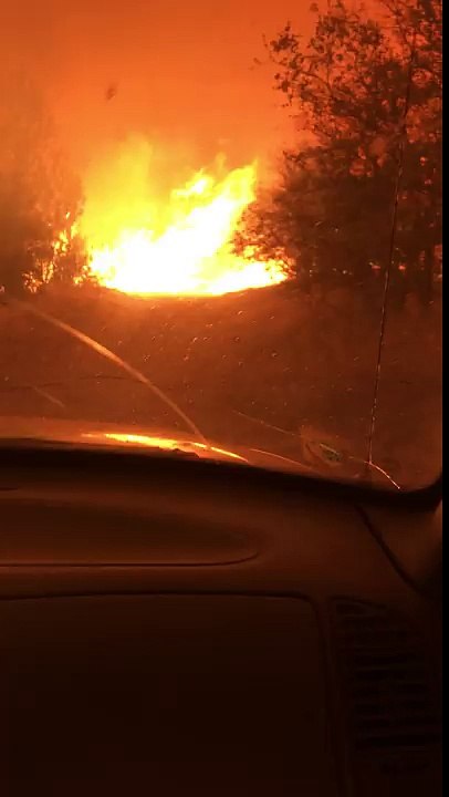 Deux hommes partent au dernier moment lors d’un incendie de forêt