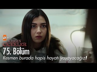 Resmen burada hapis hayatı yaşayacağız! - Kırgın Çiçekler 75. Bölüm - atv