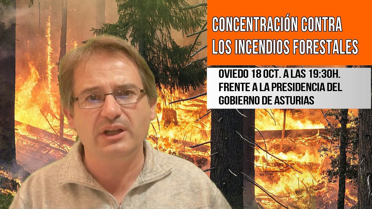 INCENDIOS forestales y CONCENTRACIÓN en Oviedo QUE NUN QUEIME, incendios nunca más