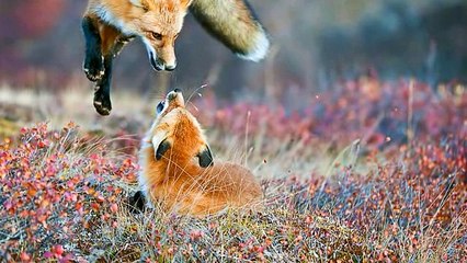 Giải đáp thắc mắc nhấn mí Hàn Quốc có đau không