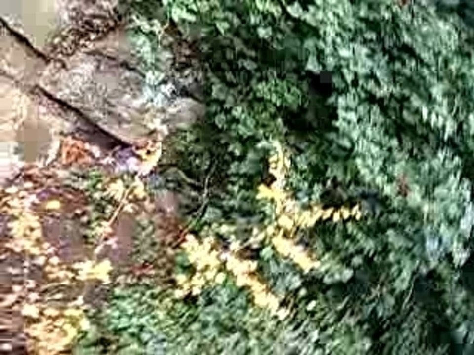 100_5875