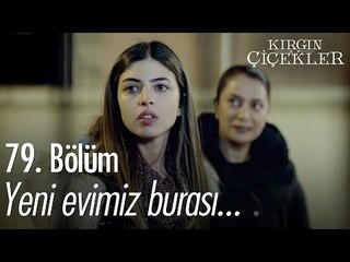 Yeni evimiz burası... - Kırgın Çiçekler 79. Bölüm - atv