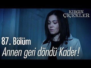 Annen geri döndü Kader! - Kırgın Çiçekler 87. Bölüm