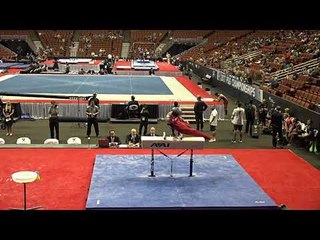 Vitaliy Guimaraes - Pommel Horse - 2017 P&G Championships - Junior Men - Day 2