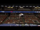 Jeremy Bischoff - High Bar - 2017 P&G Championships - Junior Men - Day 2