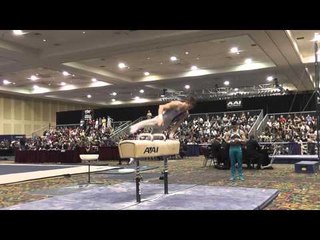 Kevin Wolting - Pommel Horse - 2015 Winter Cup Finals