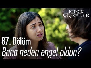 Bana neden engel oldun? - Kırgın Çiçekler 87. Bölüm