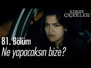 Ne yapacaksın bize? - Kırgın Çiçekler 81. Bölüm - atv
