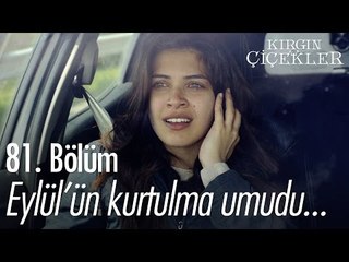 Eylül'ün kurtulma umudu... - Kırgın Çiçekler 81. Bölüm - atv