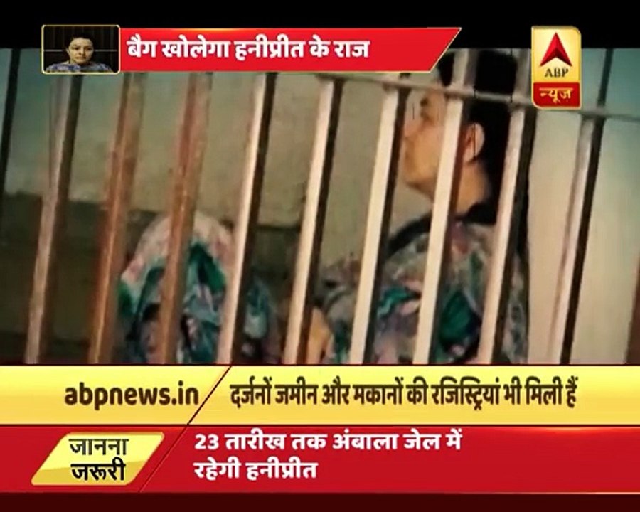 honeypreet property