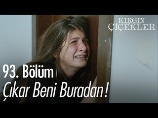 Çıkar beni buradan! - Kırgın Çiçekler 93. Bölüm