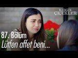 Lütfen affet beni... - Kırgın Çiçekler 87. Bölüm