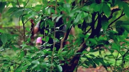 Water Bottle: Inspiring Malayalam Short Film with a Powerful Message 🎥