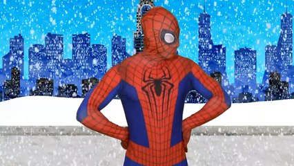 Wonder Woman and Elza finger family song - Superheroes Nursery Rhymes: Spiderman Hulk family finger