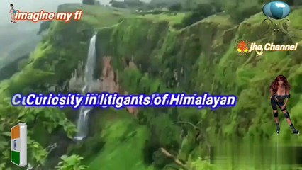 Curiosity Himalayan_HD Imagine my first Life