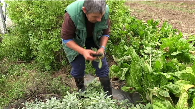 Ma thèse au Cerema: B. Metayer Circuits courts alimentaires : vers des organisations logistiques plus durables