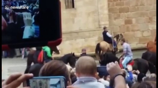 Wild horses herded through town in northern Spain festival