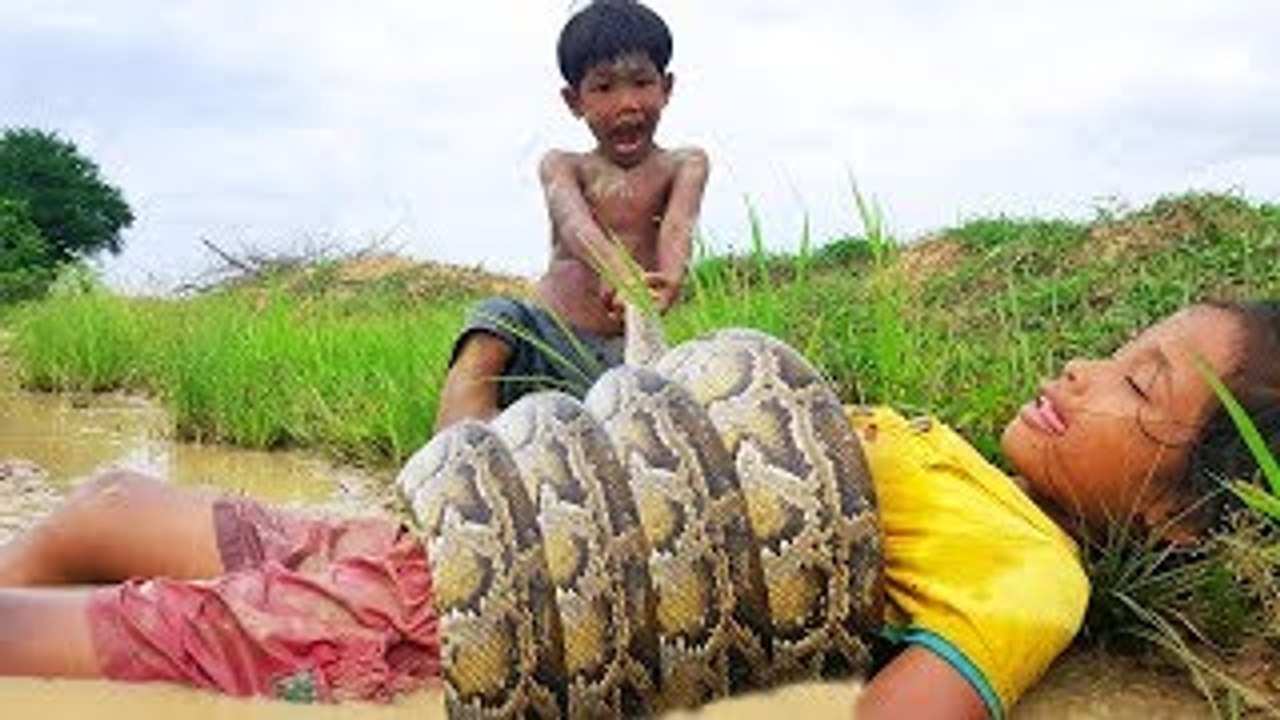 Terrifying!! Brave Little Sister And Brother Catch Very Big Snake While Digging Frog
